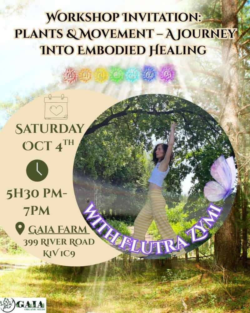 Plants & Movement — A Journey Into Embodied Healing